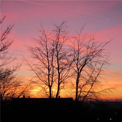 皇冠正规娱乐平台截图